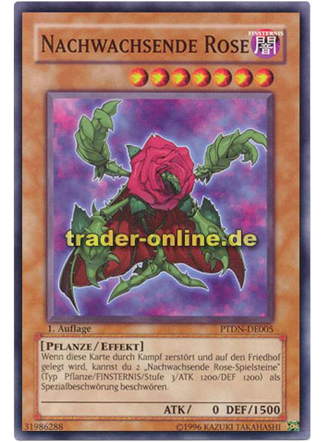 Nachwachsende Rose | Trader-Online.de